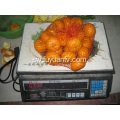 Fresh Good Qulality Baby Mandarin Orange